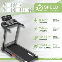 Load image into Gallery viewer, Bench. MotionSummit Treadmill
